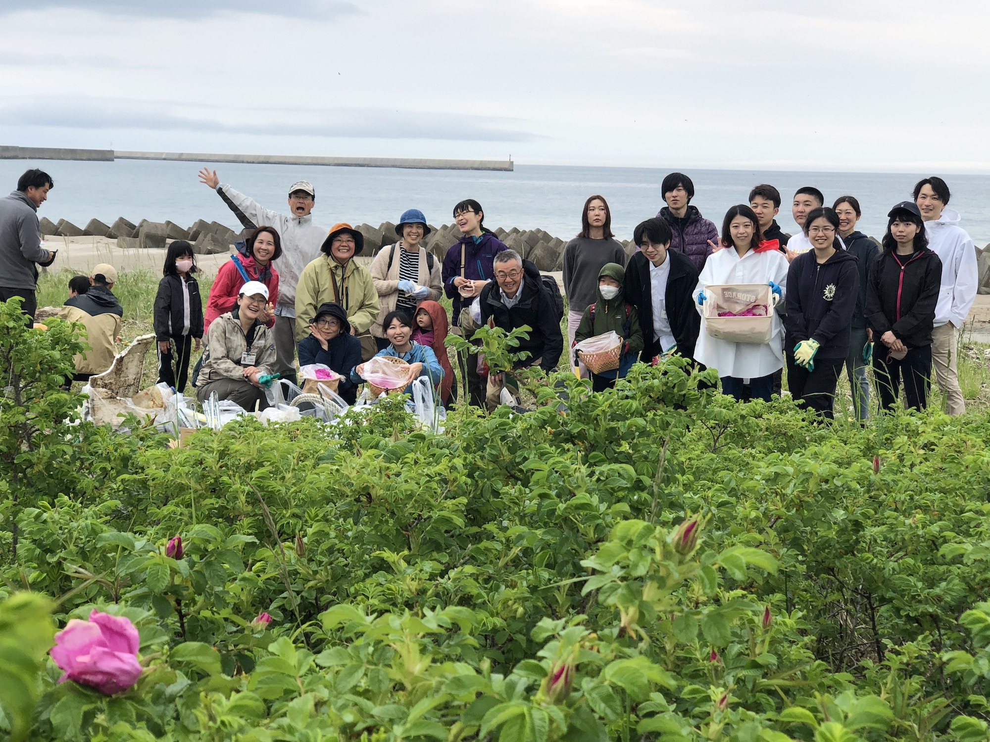 花摘み カード検索 ｜ Z/X - Zillions of enemy X - ゼクス公式サイト